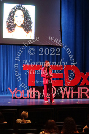 WTG_TEDx_53