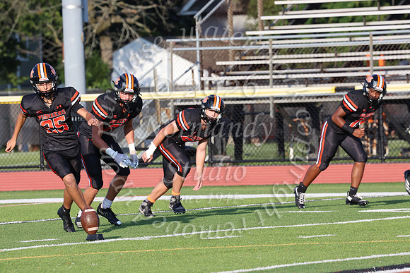 SVL_fb_053