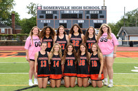 SVL_fh-v-t_06