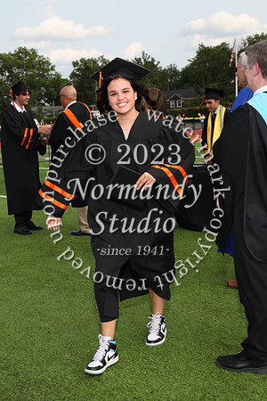 SVL_diploma_2nd_294