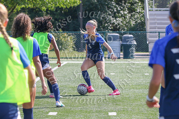 IMC_so-g_51