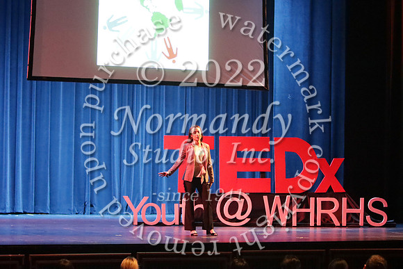 WTG_TEDx_07