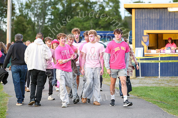 DVH_fans_59