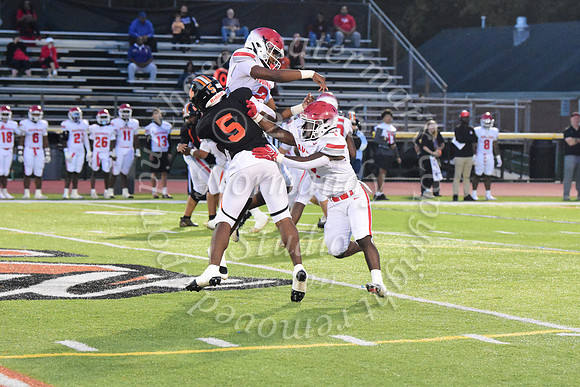 SVL_fb_28