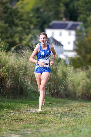 WHS_cc-g_08