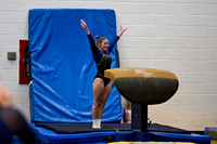 WHS_gy_08
