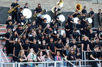 SVL_mb_in_stands_17