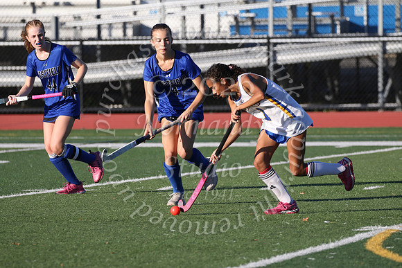 CHS_fh_19