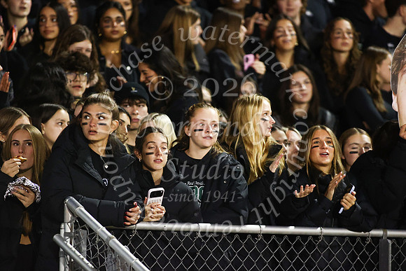 RDG_fb_fans_2