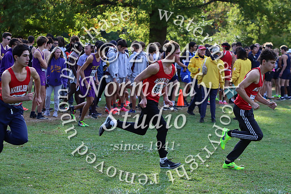 MNP_cc-b_36