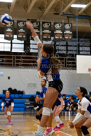 UCH_vb-g_15