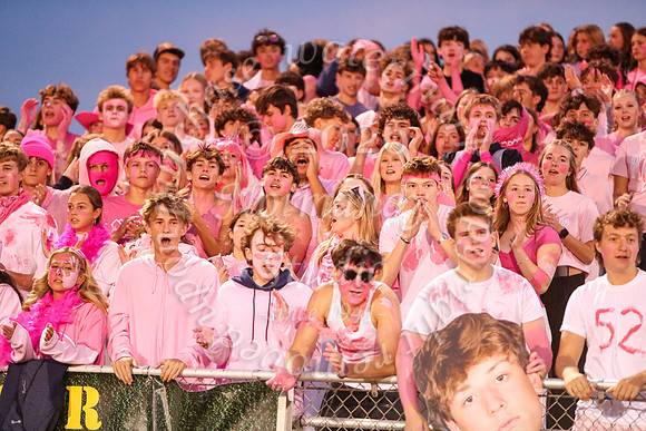 DVH_fans_21