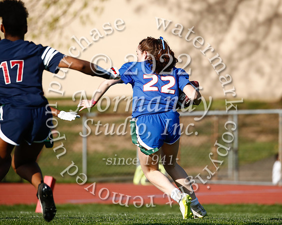WHS_flag_fb_74
