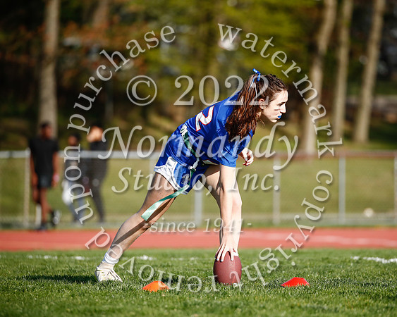 WHS_flag_fb_22
