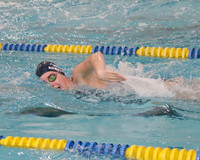 WMC_011_sw-g