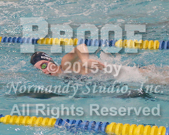 WMC_011_sw-g