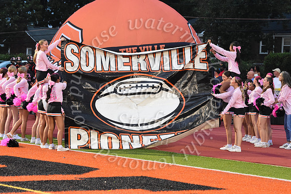 SVL_fb_03