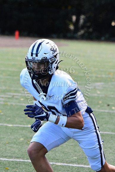 SHP_fb-j_01