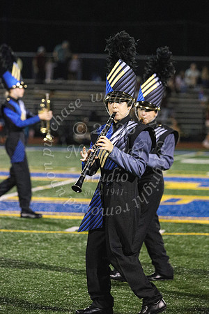 CHS_mb_100