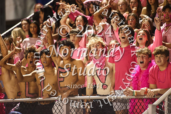 SVL_fans_43
