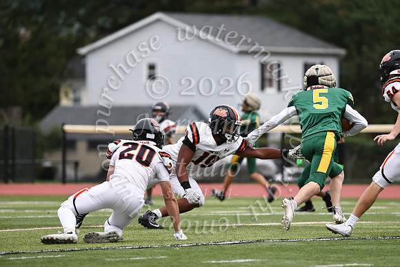 SVL_fb_jv-34