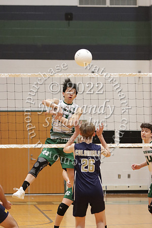 CNH_vb-b_32