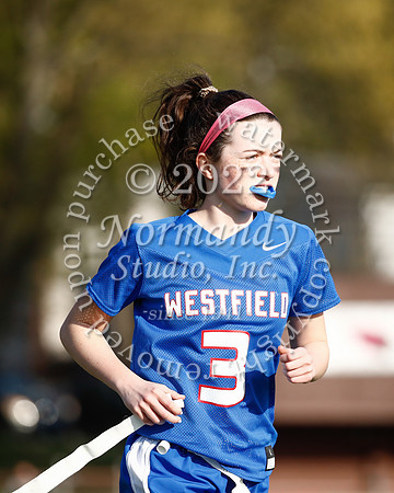 WHS_flag_fb_68