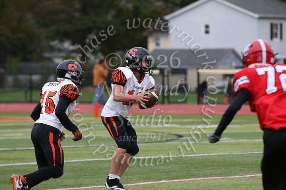 SVL_fb-f_28