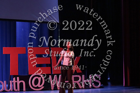 WTG_TEDx_22