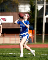 WHS_flag_fb_26