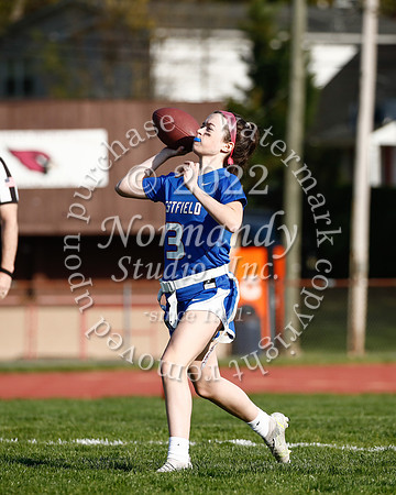 WHS_flag_fb_26