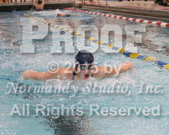 WMC_008_sw-g
