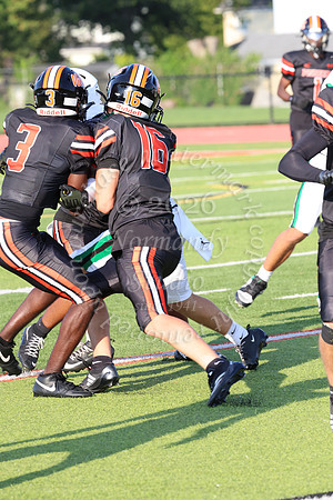 SVL_fb_011
