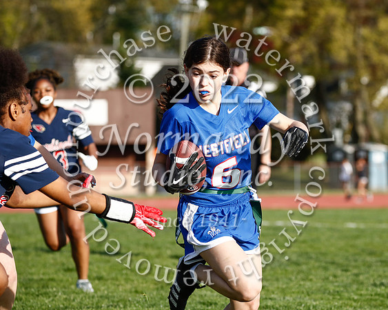 WHS_flag_fb_71