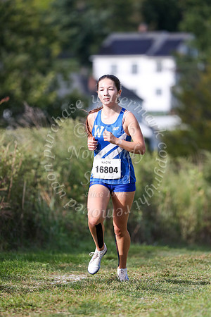 WHS_cc-g_01