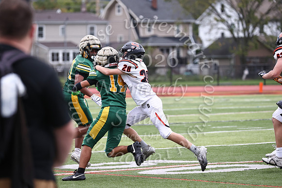 SVL_fb_jv-19
