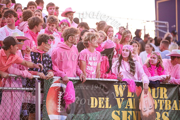 DVH_fans_40
