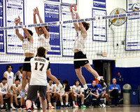 WHS_vb_b_v_24
