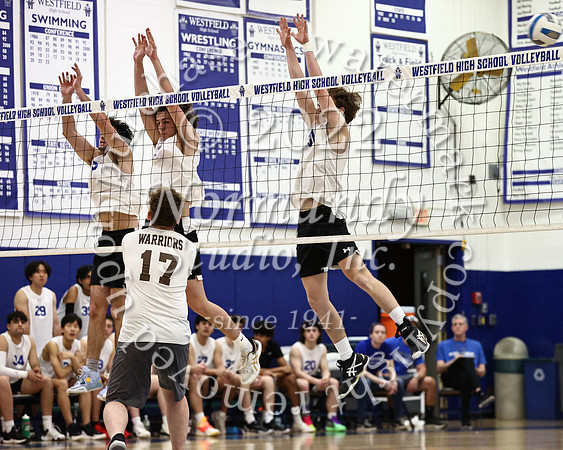 WHS_vb_b_v_24