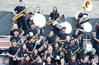 SVL_mb_in_stands_05