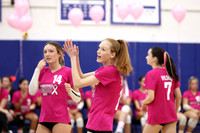 WHS_vb-pink out_16