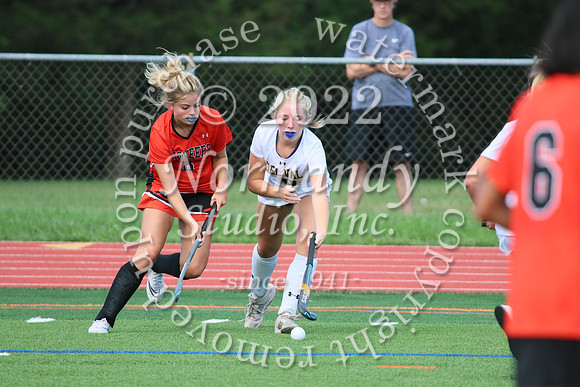 DVH_fh_46