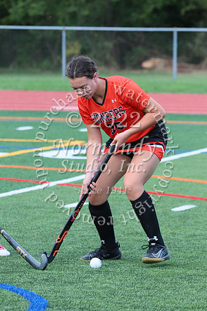 SVL_fh-j_10
