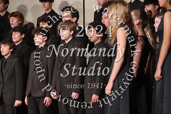 BER_concert_12