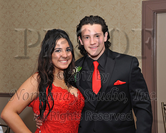 MNP_18_jprom