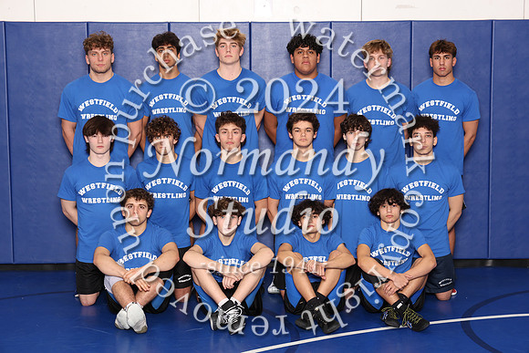 WHS_wr-t_01