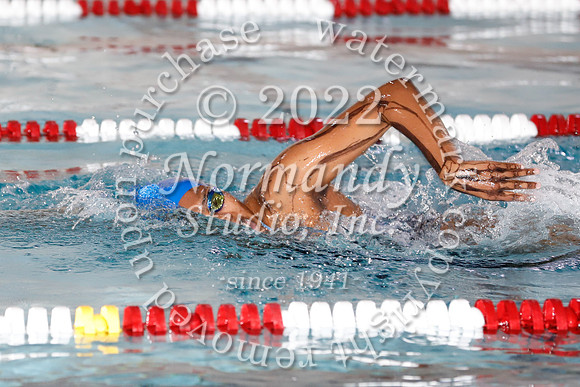 WMC_54_sw-g
