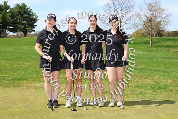 SVL_go-g-t_03