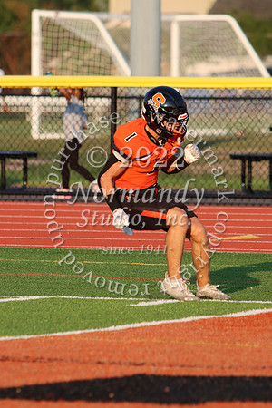 SVL_fb_31