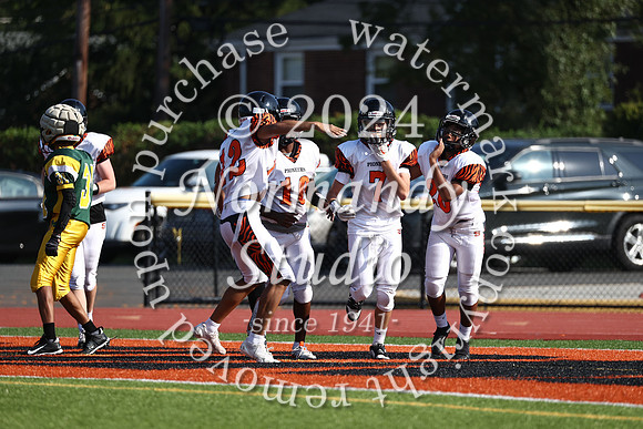 SVL_fb-f_29